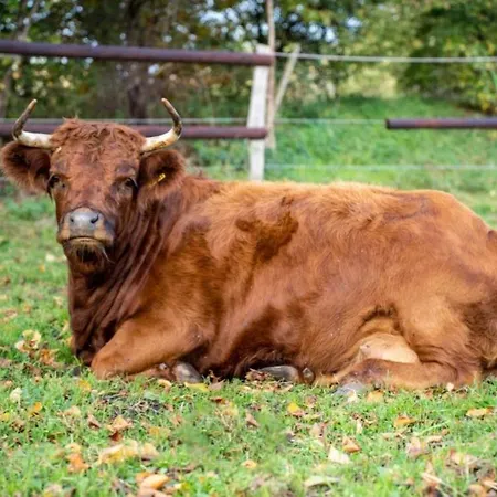 Feriengut Gaarz - 29 *