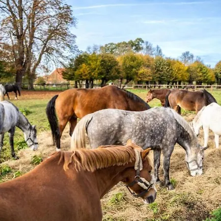 Feriengut Gaarz - 29 *