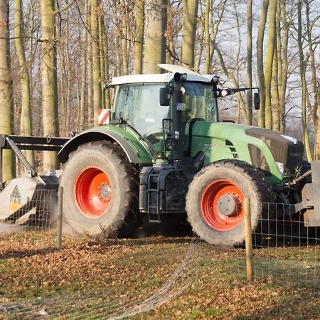 Feriengut Gaarz - 29