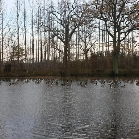 Feriengut Gaarz - 29 Gohl