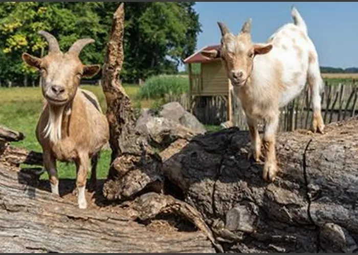 Alojamento de Turismo Rural Feriengut Gaarz - 29