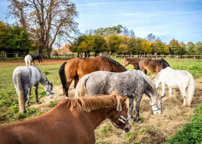 Feriengut Gaarz - 29 *