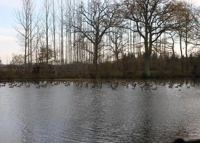 Feriengut Gaarz - 29 Gohl