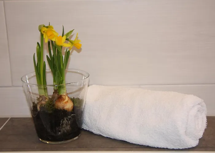 Séjour à la ferme Feriengut Gaarz - 29 *