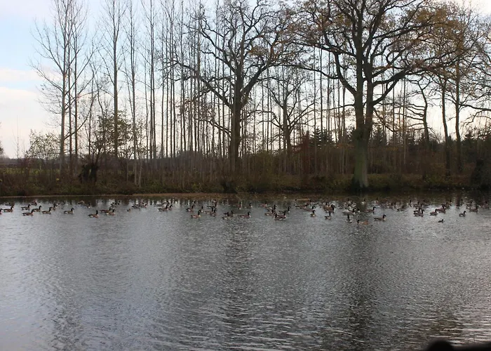 Séjour à la ferme Feriengut Gaarz - 29